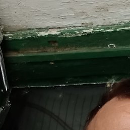 , , 53 