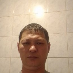 , 40, 