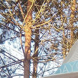 �����, ����, 64 ����