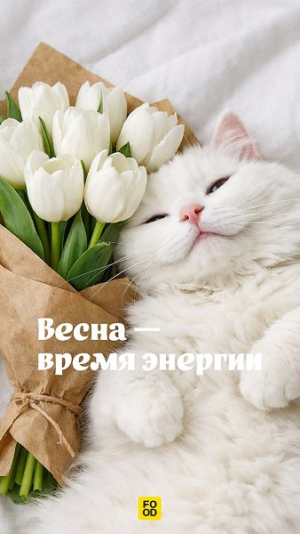 ��������� �����. � ����� ������� �������� �������, ����� ��������������� ����� ���, ������, ������ ... - 3