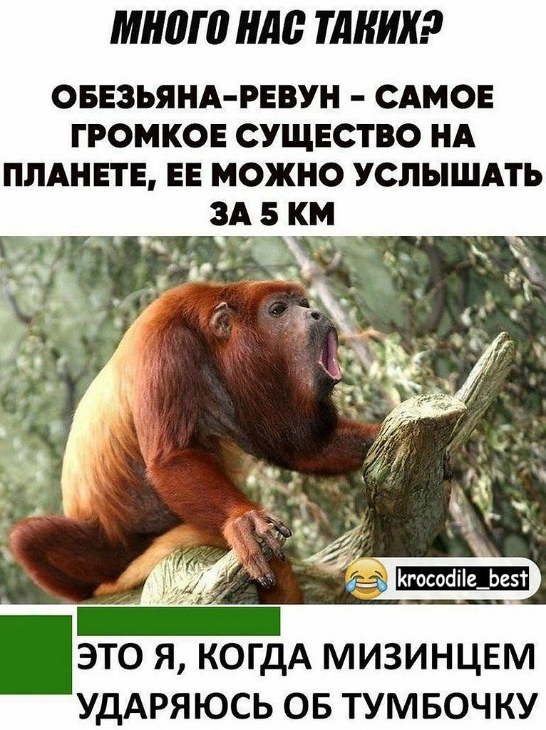 ? ,  ! - 30  2025  12:49