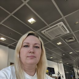 ���� �����, ������, 49 ��� - ��������� 14 ���� 2026
