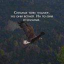���� �������� ����, ������, 25 ��� - ��������� 10 ����� 2024 � ������ ���� ����������