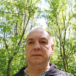 , 49, 