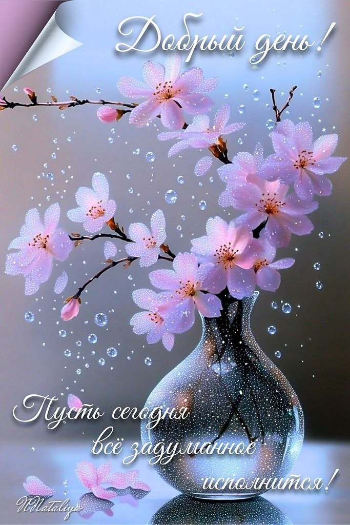   ,    . - 15  2025  13:11