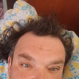 , 42, 