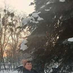 �����, �����������, 54 ����