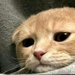 ���� ����, ��������, 22 ���� - ��������� 3 ������� 2024