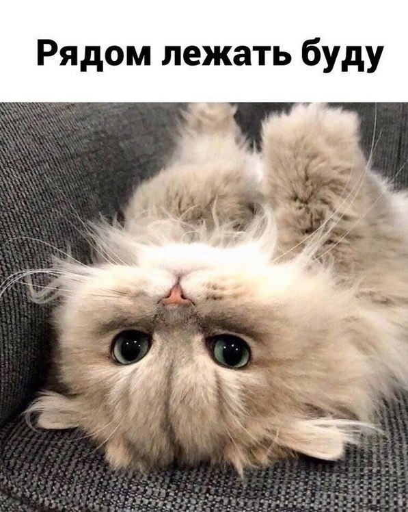 ��� ���� � ����� �� �� - 24 ����� 2026 � 13:00 - 4