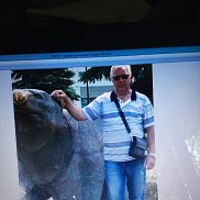 , 65 , 