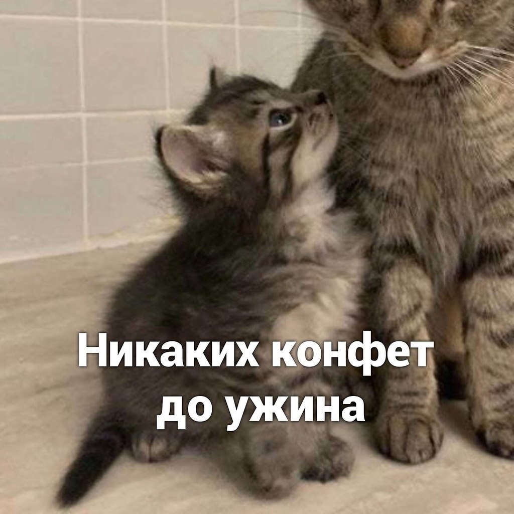    ) - 3
