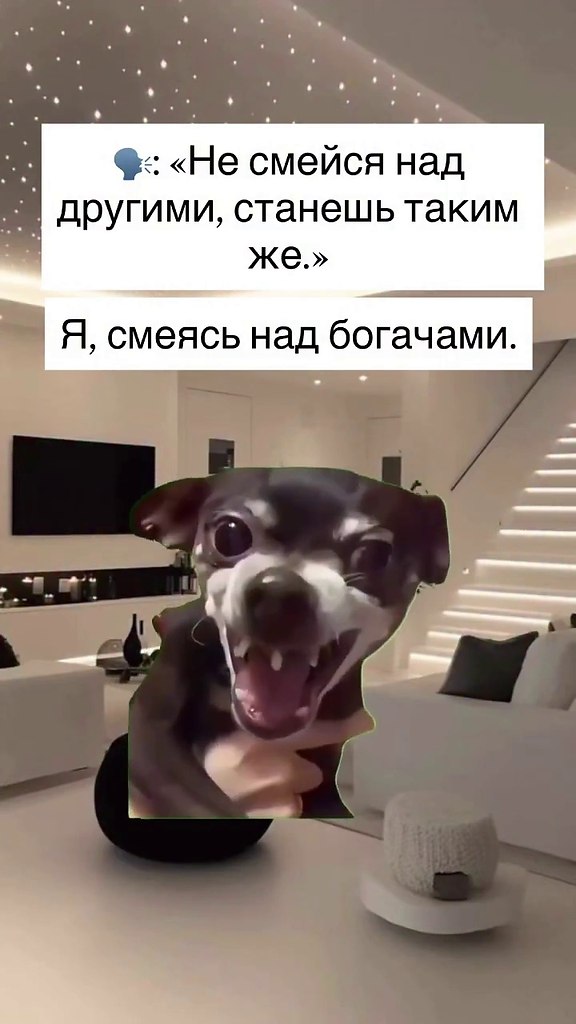 ������������������)