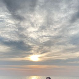 ����, ��������, 50 ���