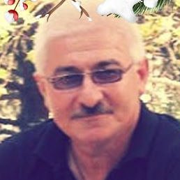 ��������, ����, 65 ���