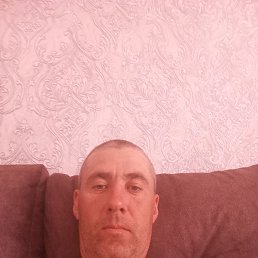 , 40, 