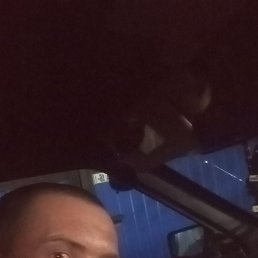 , 33, 