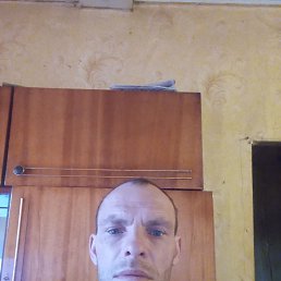, 40, 