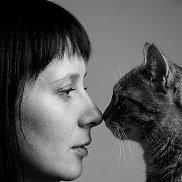 ����, , �������