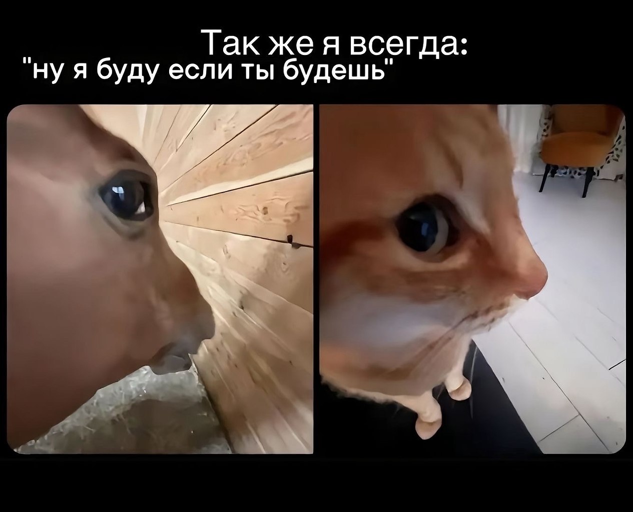 ������. - 19 �������� 2025 � 14:46 - 2