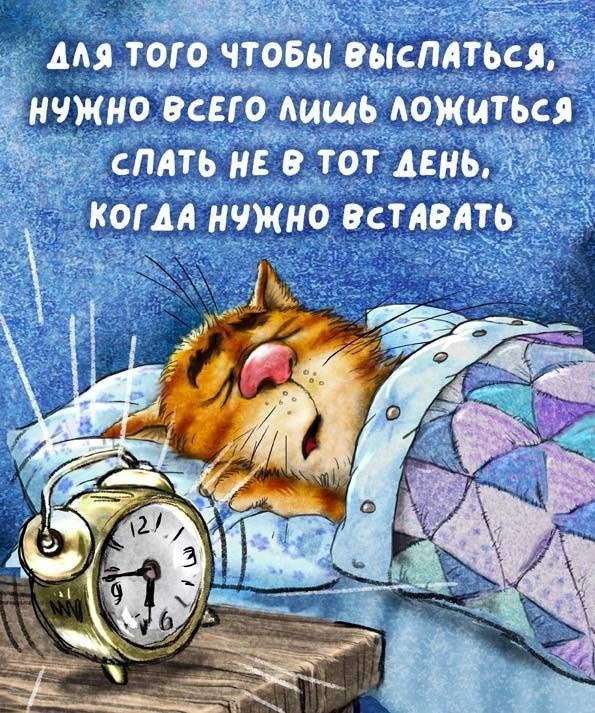  - 8  2024  21:25