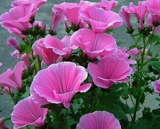 ����� �e����������� ���������� - ��������. ����� ca���� ����� ������� - ����� �������� ������, � ...