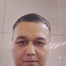 ���� ����, ������, 48 ��� - ��������� 6 ���� 2026