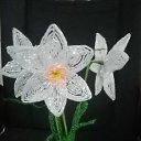  Alena, , 56  -  18  2025     