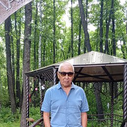 , 61, 