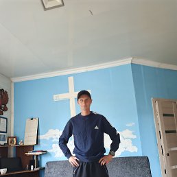 , 37, 
