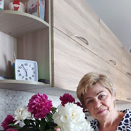 , 66, 