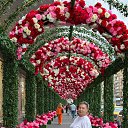 ���� ����, ������, 62 ���� - ��������� 25 ������� 2025