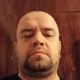 �������, �����-���������, 41 ���