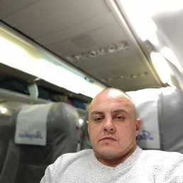 , 39, 