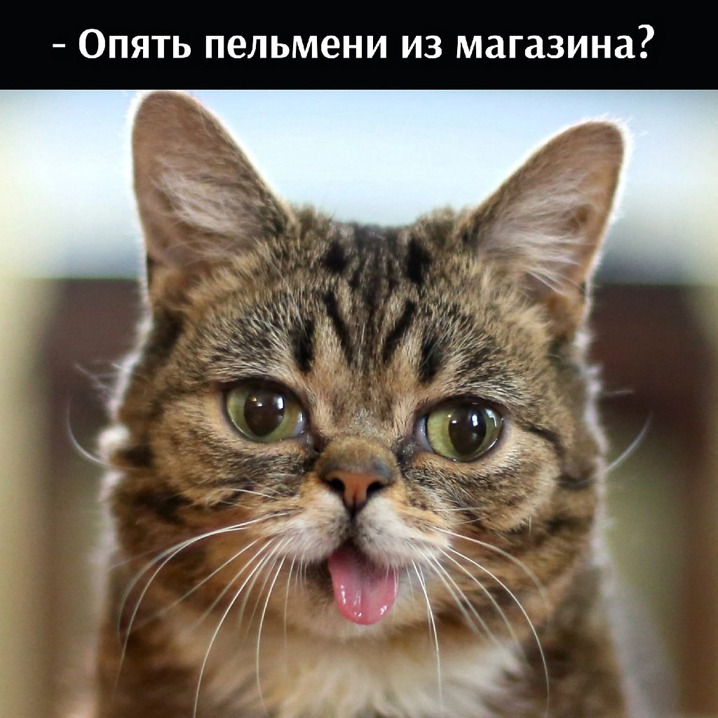       - 2  2025  21:56 - 2