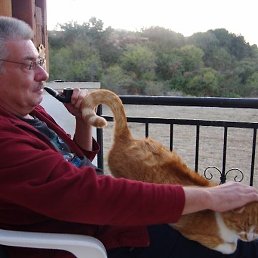 ����, ������, 66 ���