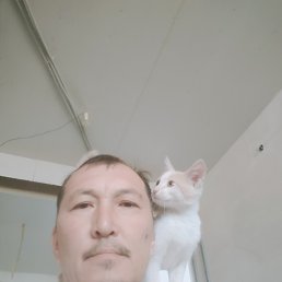 , 43, 