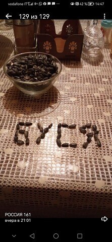 ���� ����������, �������, 47 ��� - ��������� 2 ������ 2024