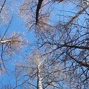 ���� ������., �����, 56 ��� - ��������� 18 ������� 2024