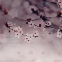 ���� �����, ������, 20 ��� - ��������� 6 ����� 2024 � ������ ���� ����������