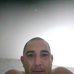 ������ �, 40 ���, ����