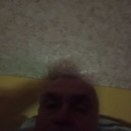 , 65, 