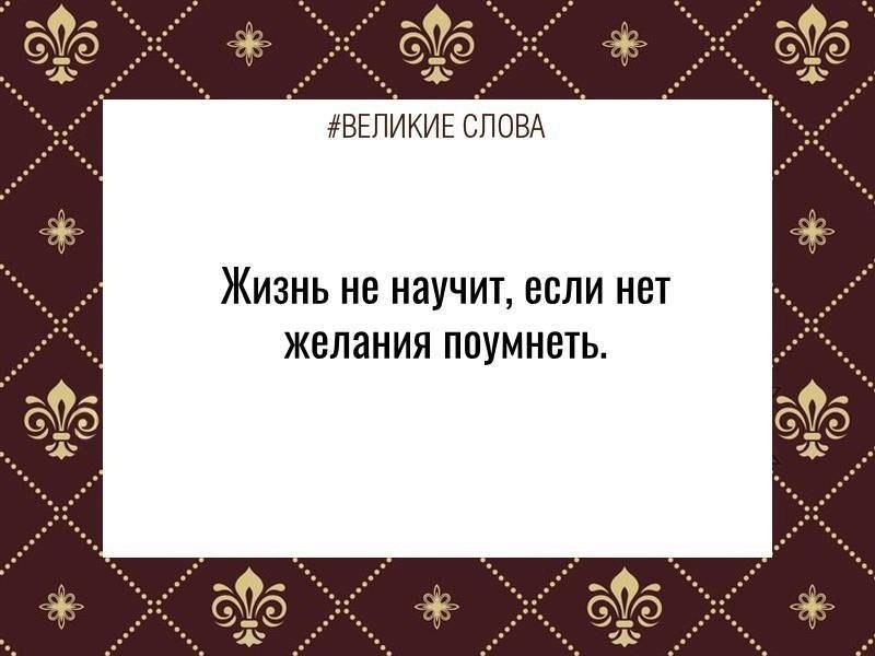   | ,    - 15  2024  23:41