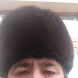 , 53, 