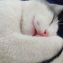 ���� �����, ������, 34 ���� - ��������� 28 ������� 2023 � ������ ���� ����������