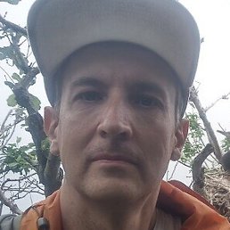 ����, �����������, 44 ����