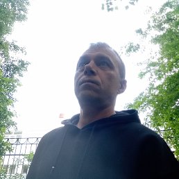 , 46 , 