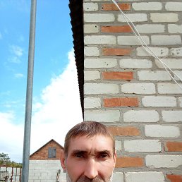 , 56, 