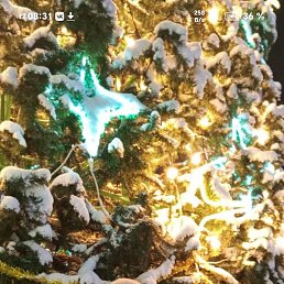 ����, ������, 56 ���