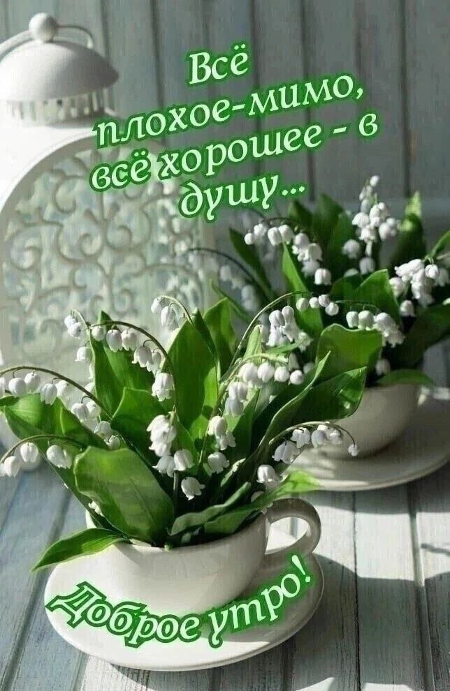   - 23  2025  07:25