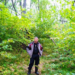 ������, ���������, 52 ����